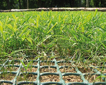 Malla de protección para el césped natural